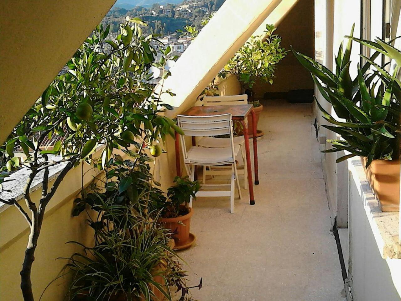 A Casa Di Lola Bed and Breakfast Ascoli Piceno Buitenkant foto