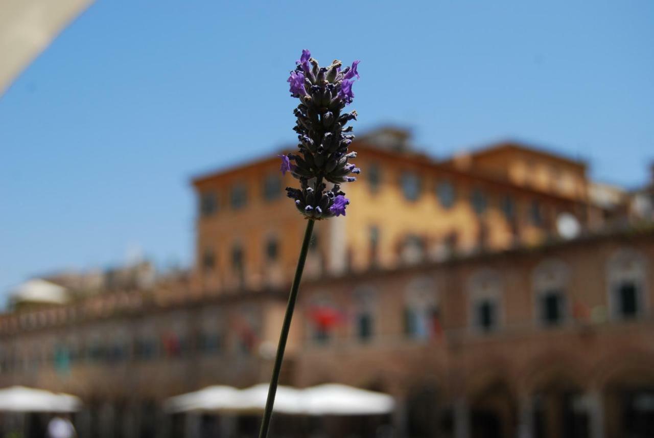 A Casa Di Lola Bed and Breakfast Ascoli Piceno Buitenkant foto